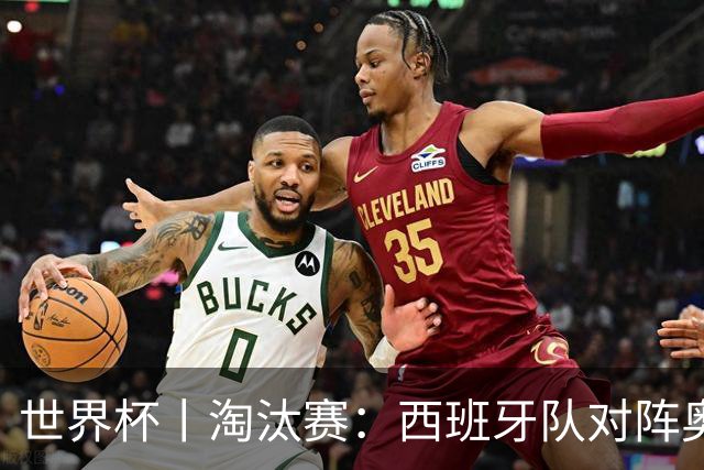 世界杯丨淘汰赛：西班牙队对阵奥地利队