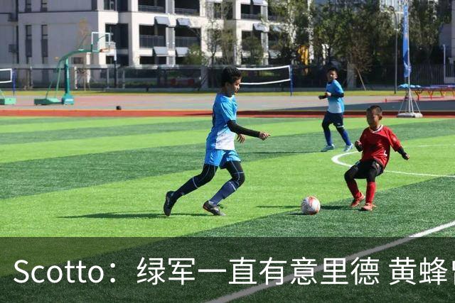 Scotto：绿军一直有意里德 黄蜂曾希望交易布里奇斯以换取布朗